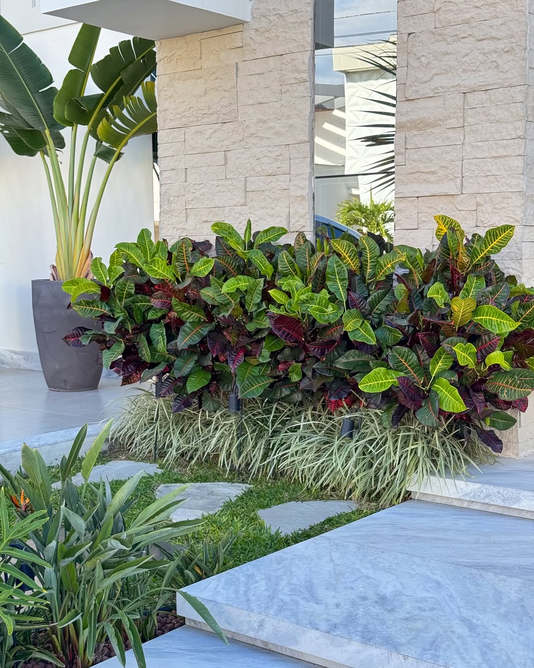 Jardinagem Decorativa